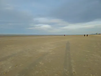 Oostnieuwkerke duinen wandeling in de koude (België)